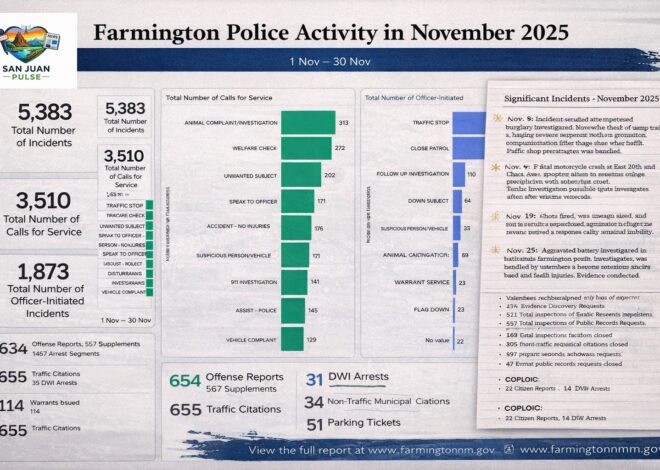 Farmington Police Activity Report for November 2025